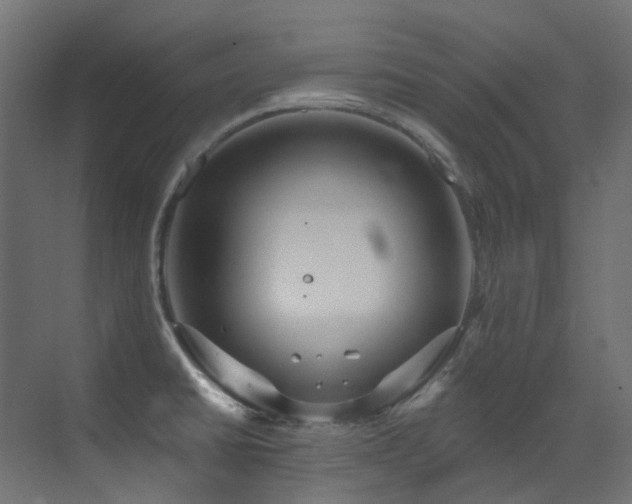 X0000073461430200607281235