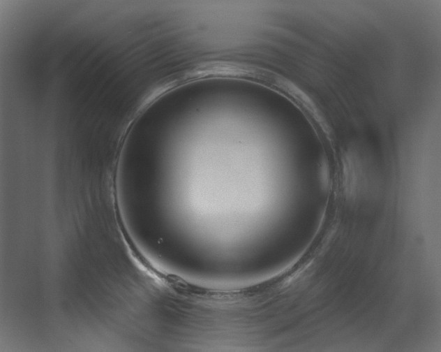 X0000073461433200607281235