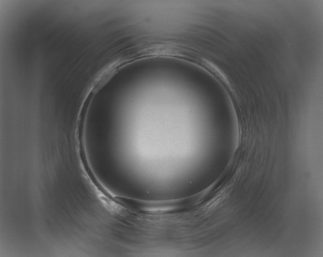 X0000073461434200607281235