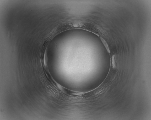 X0000073461443200607281235