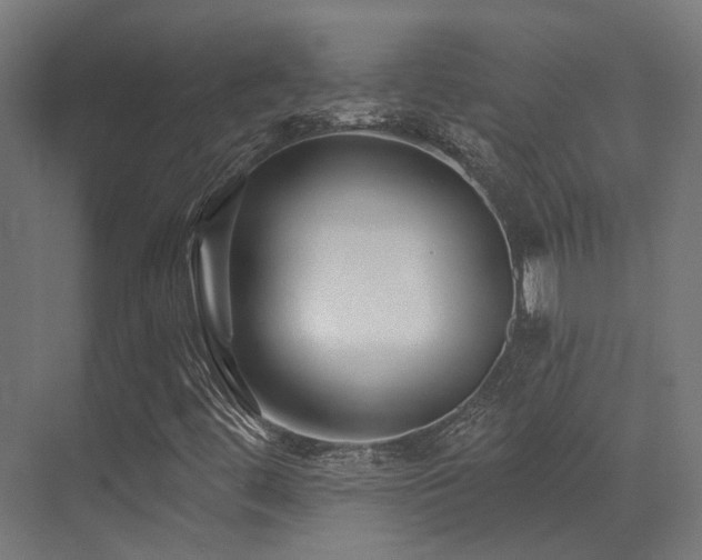 X0000073461444200607281235