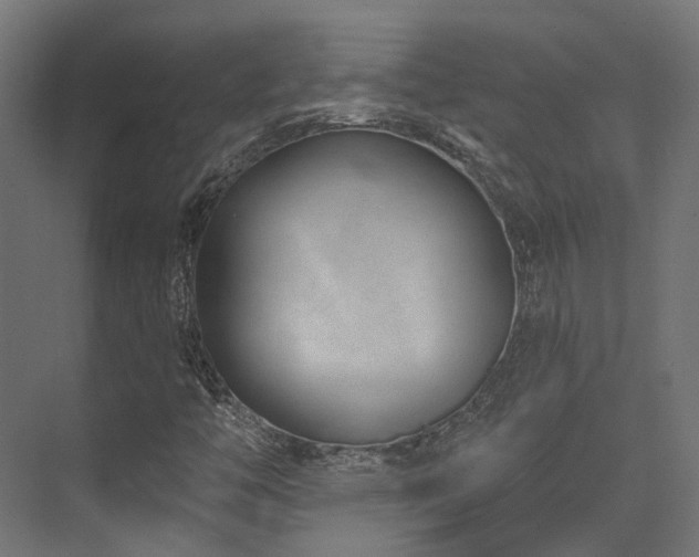 X0000073461446200607281235