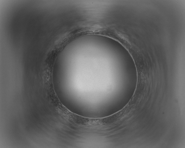 X0000073461447200607281235