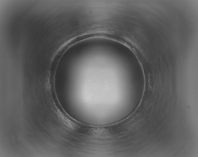 X0000073461452200607281234