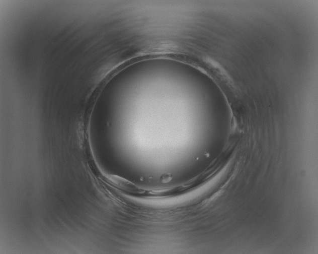 X0000073461457200607281234
