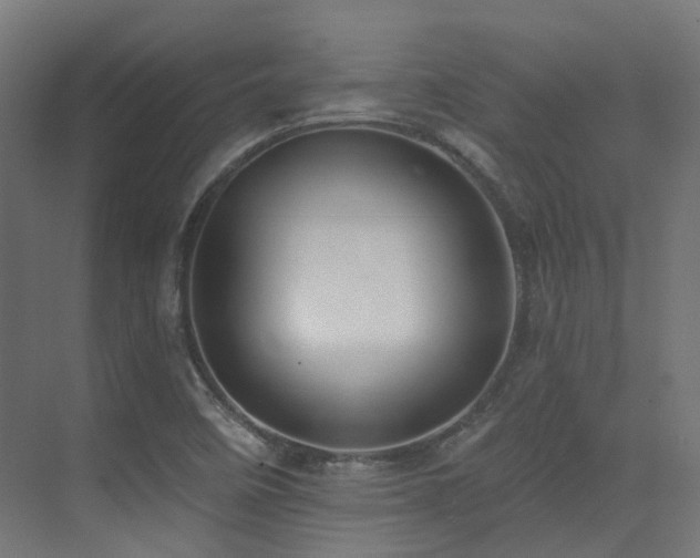 X0000073461458200607281234