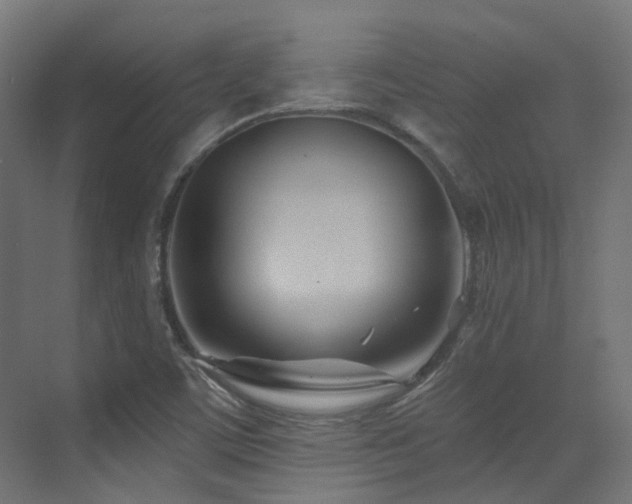 X0000073461459200607281234