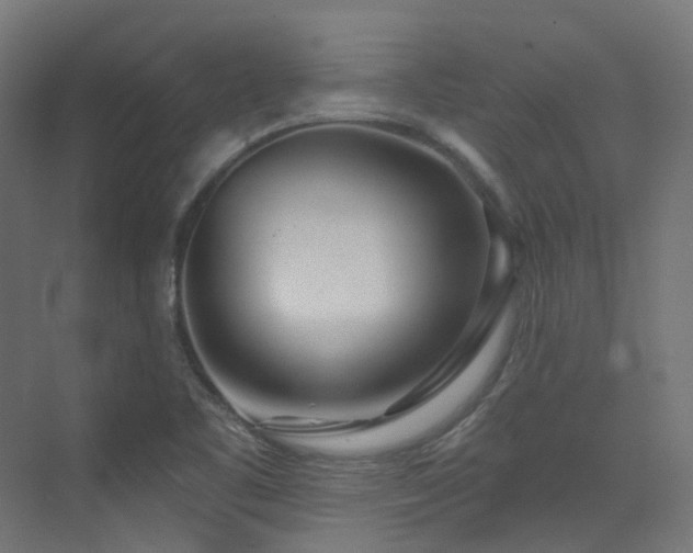 X0000073461461200607281234
