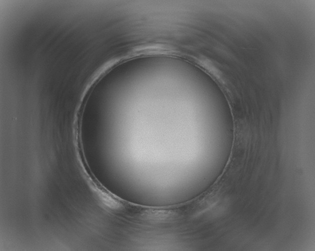 X0000073461474200607281234