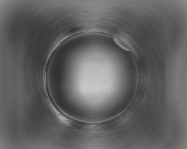 X0000073461476200607281234