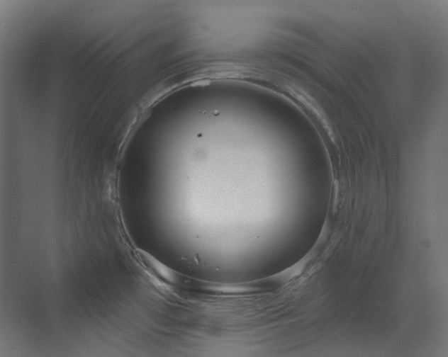 X0000073461481200607281234