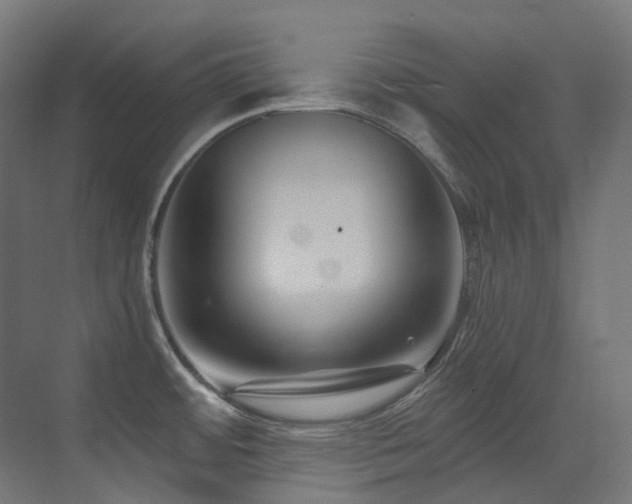 X0000073461484200607281234