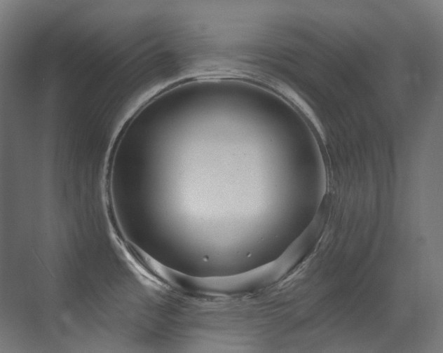 X0000073461485200607281234