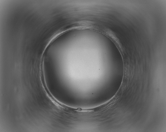 X0000073461487200607281234