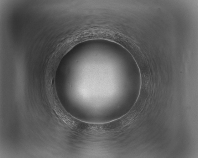 X0000073461489200607281233