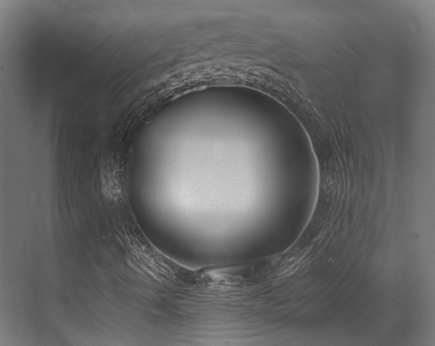 X0000073461490200607281233