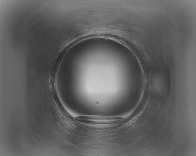 X0000073461497200607281233
