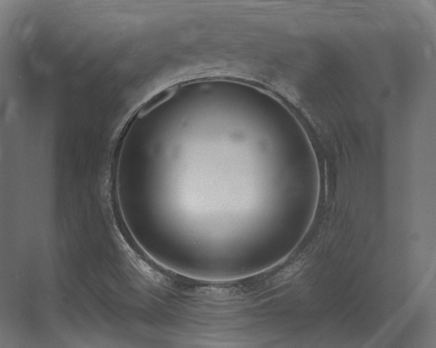X0000073461500200607281233