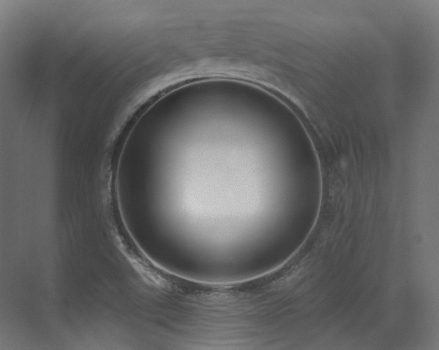 X0000073461507200607281233