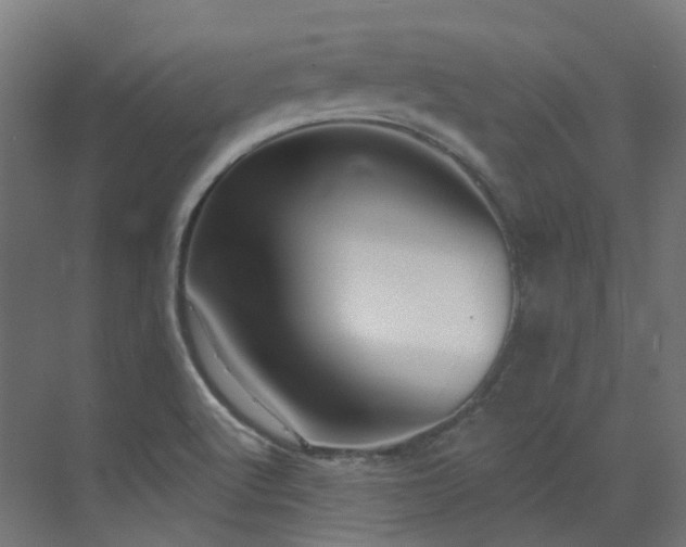 X0000073461512200607281233