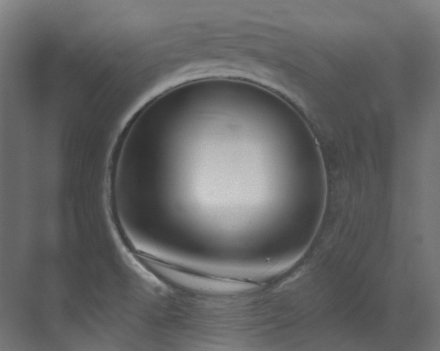 X0000073461518200607281234