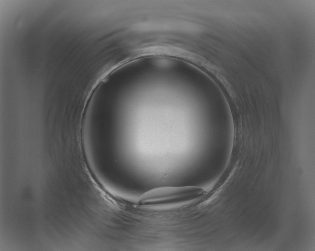 X0000073461529200607281234