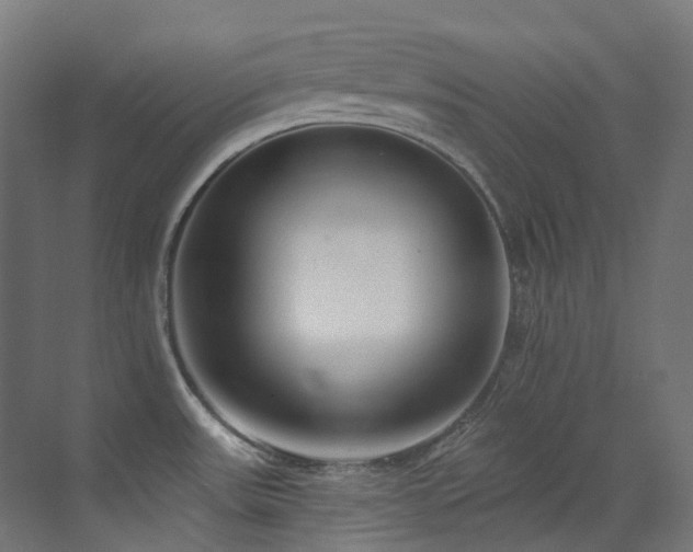 X0000073461531200607281234
