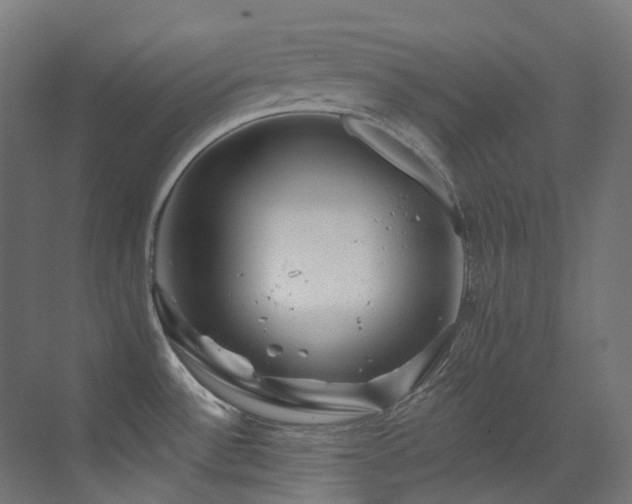X0000073461532200607281234