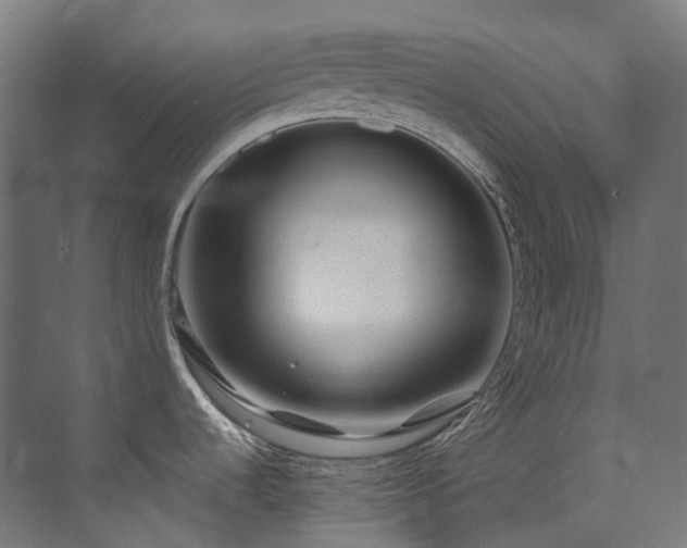 X0000073461536200607281234