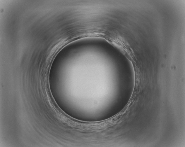 X0000073460001200608041104