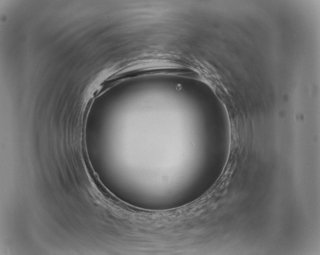 X0000073460003200608041104