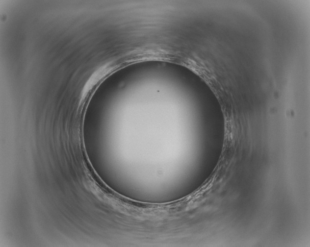 X0000073460004200608041104