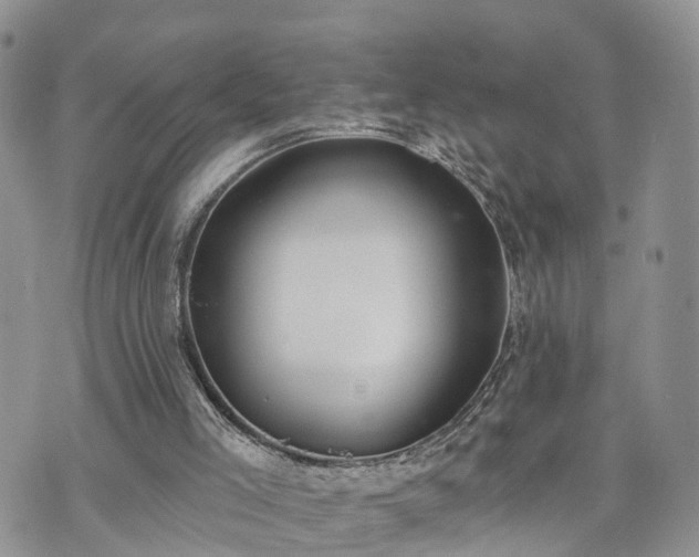 X0000073460005200608041104