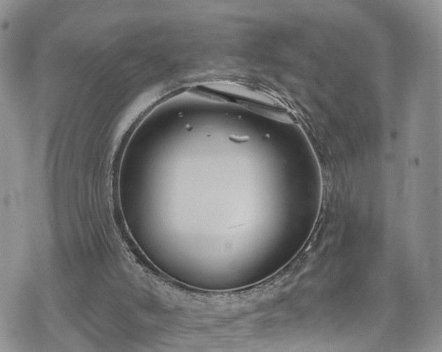 X0000073460006200608041104