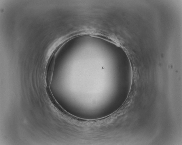 X0000073460007200608041104