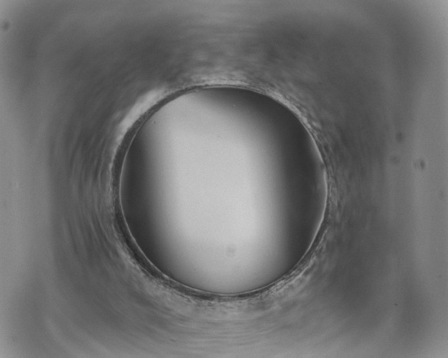 X0000073460008200608041104