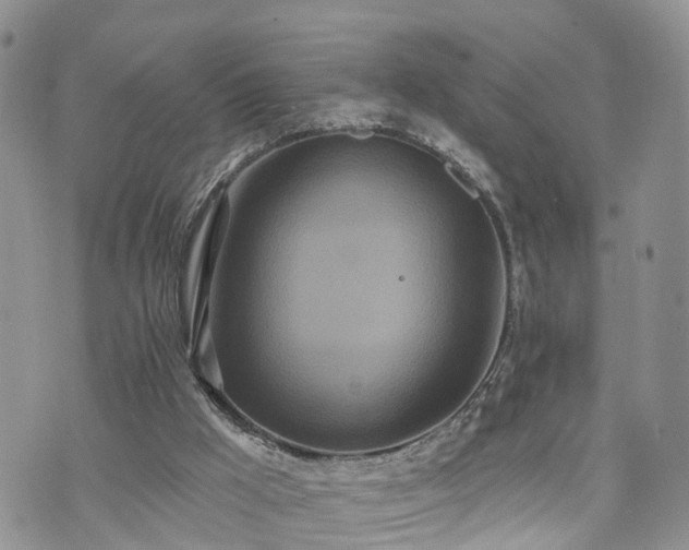 X0000073460009200608041104