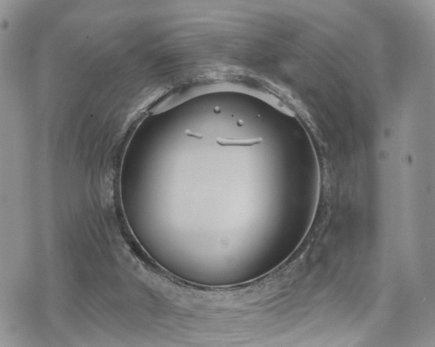 X0000073460010200608041104