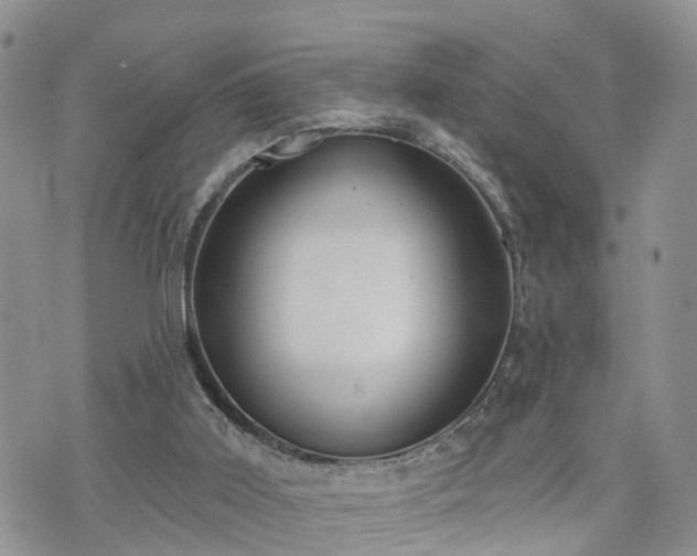 X0000073460011200608041104