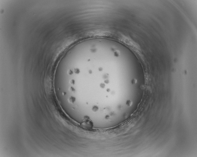 X0000073460012200608041104