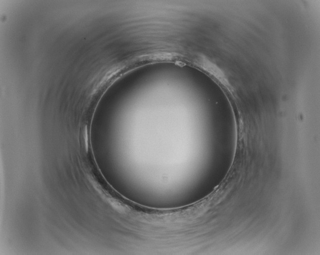 X0000073460013200608041104