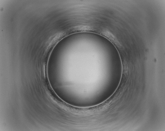 X0000073460014200608041104