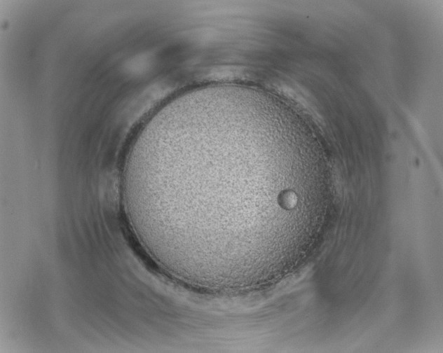 X0000073460016200608041104