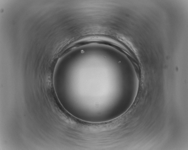 X0000073460017200608041104