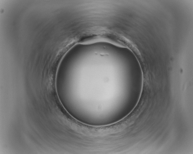 X0000073460018200608041104