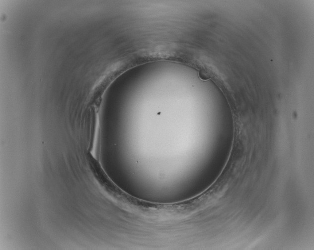 X0000073460020200608041104