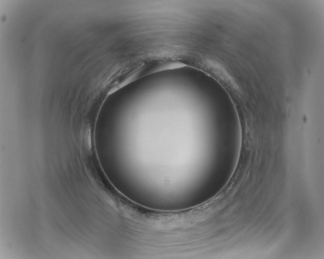 X0000073460021200608041104