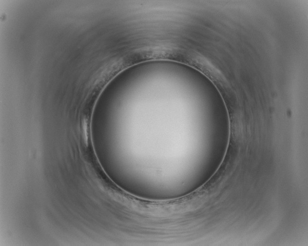 X0000073460022200608041104