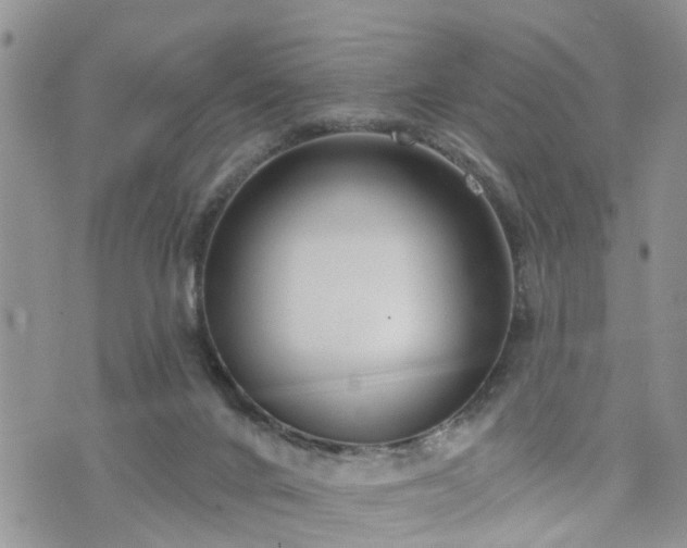 X0000073460024200608041104