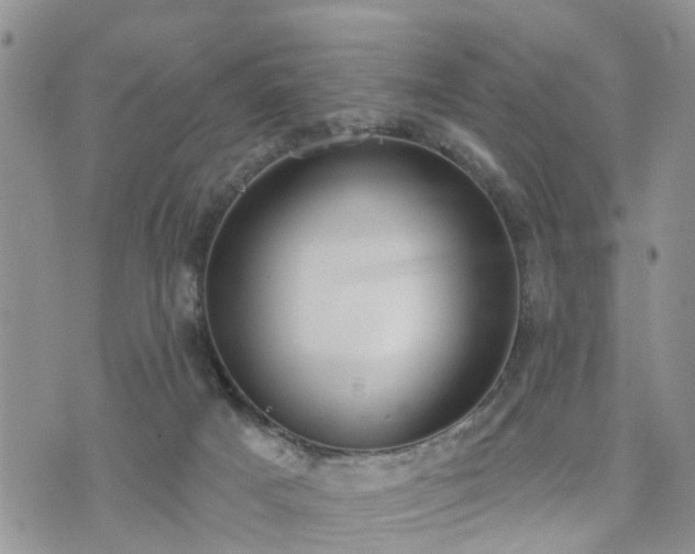 X0000073460025200608041104